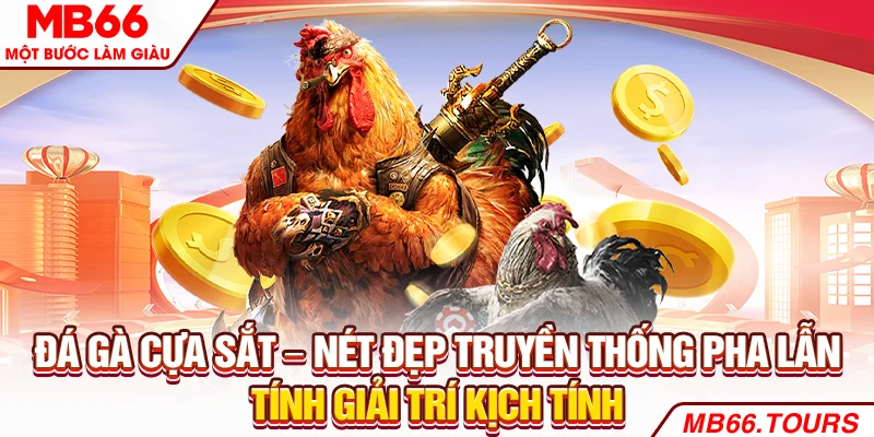 Đá gà cựa sắt – Nét đẹp truyền thống pha lẫn tính giải trí kịch tính Đá gà cựa sắt – Nét đẹp truyền thống pha lẫn tính giải trí kịch tính