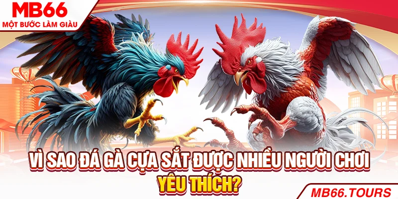 Vì sao đá gà cựa sắt được nhiều người chơi yêu thích? Vì sao đá gà cựa sắt được nhiều người chơi yêu thích?